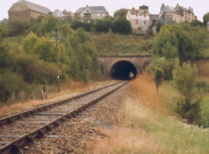train anim.gif (298408 bytes)
